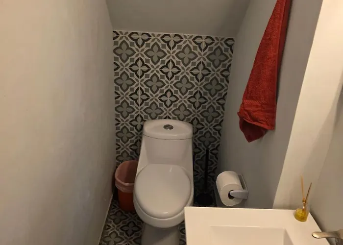 Departamento Estupendo En Coyoacán Cdmx México DF