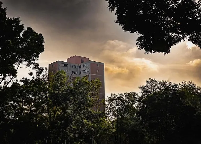 Departamento Estupendo En Coyoacán Cdmx Apartamento *