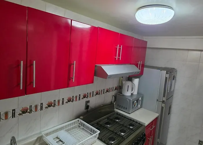 Apartamento Departamento Estupendo En Coyoacán Cdmx México DF